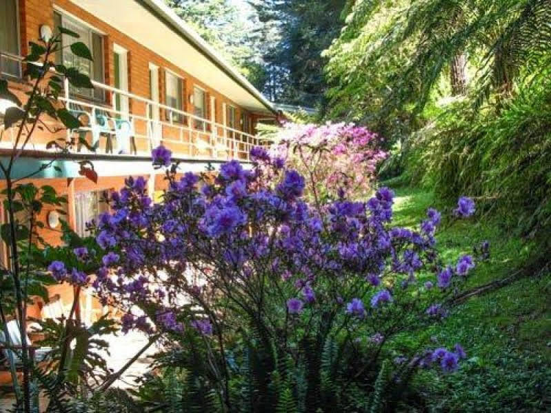 The Warby, Where Mid-Century Style Meets The Mountains Уорбертон Экстерьер фото